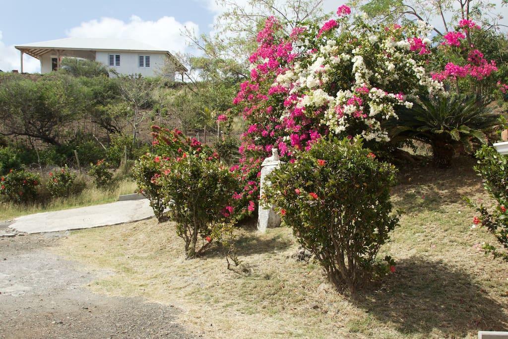 Appartement Vacances Goyave Cap Chevalier Dış mekan fotoğraf