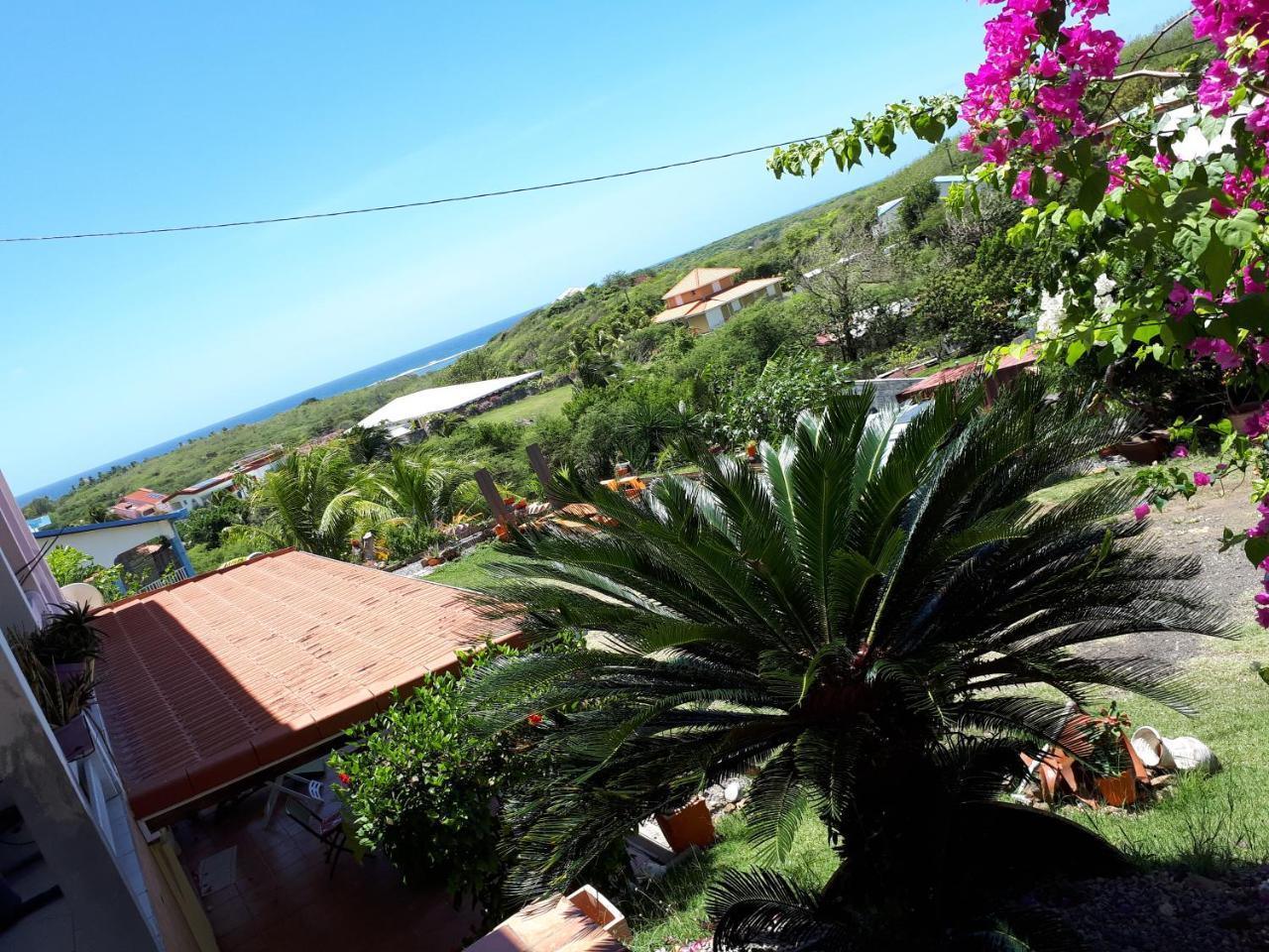 Appartement Vacances Goyave Cap Chevalier Dış mekan fotoğraf